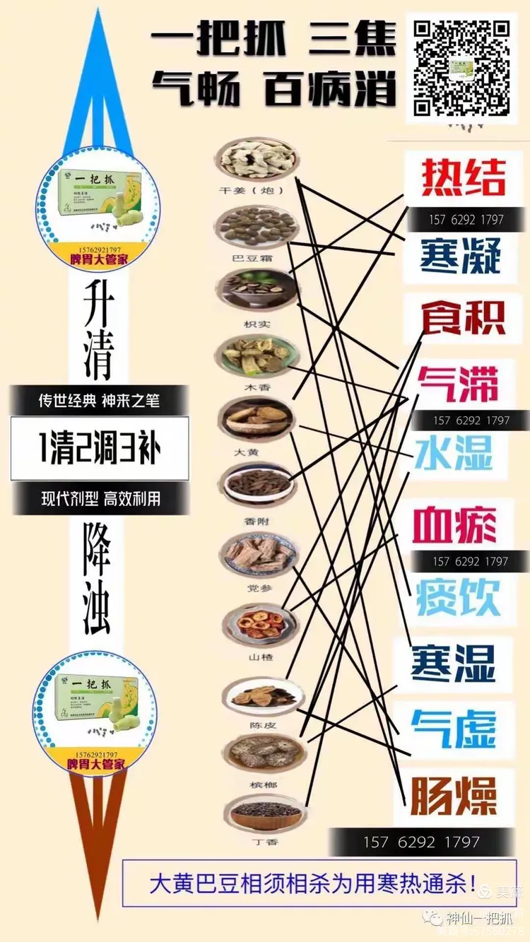 痰湿体质是怎样的？欢迎自测 对号入座！